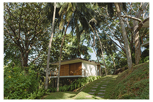 kurulu bay tree house 